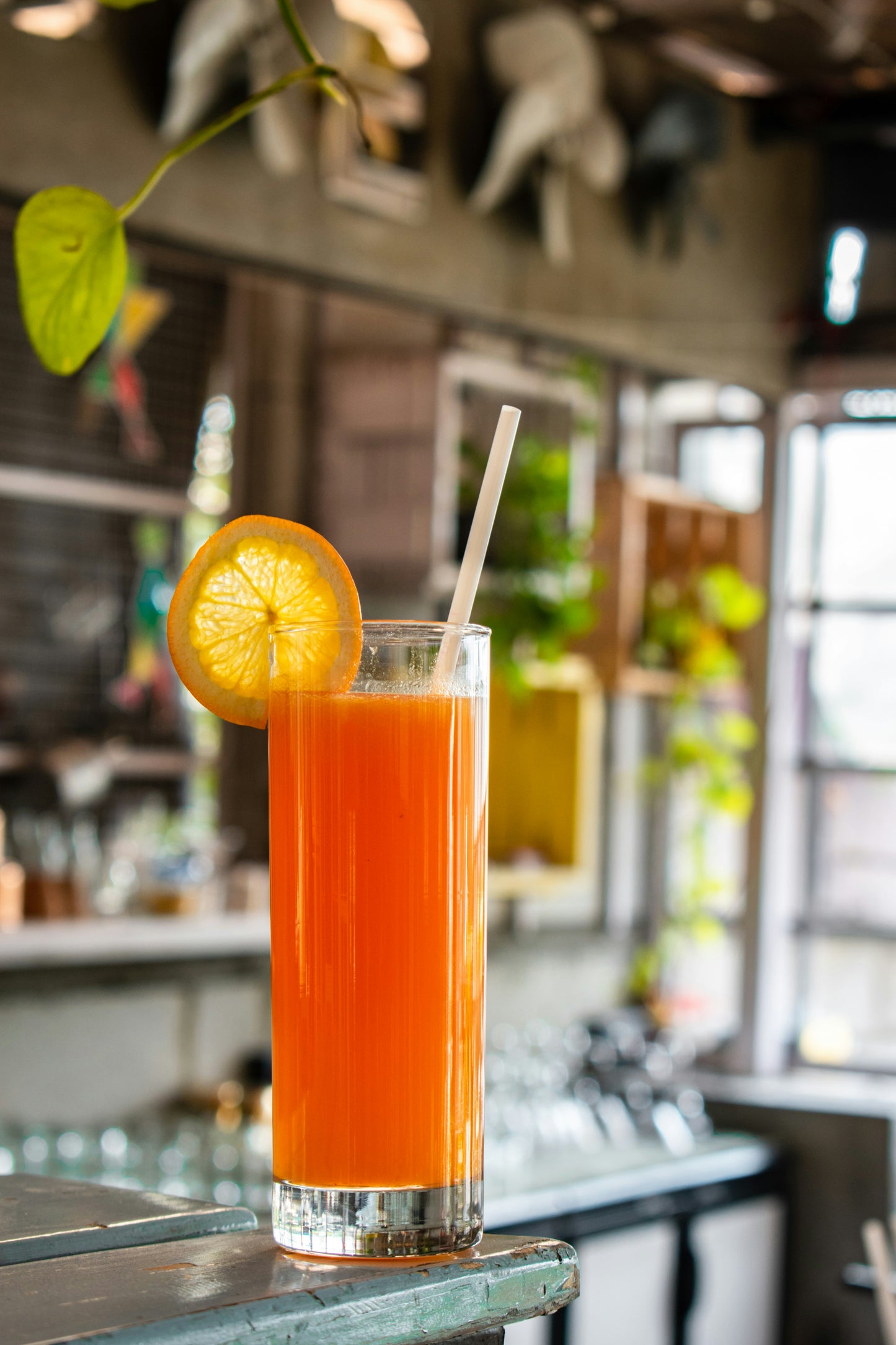 Carrot Juice